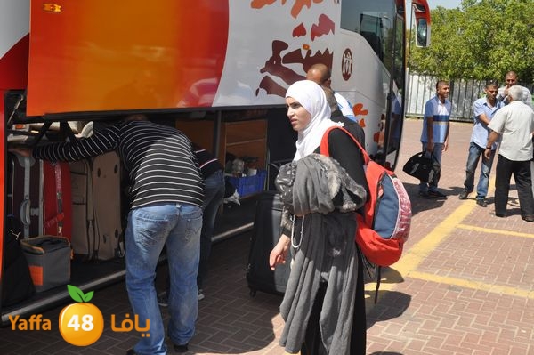 3omrashneer321 (4).JPG